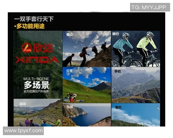 南京攀岩队与深圳攀岩队赛后战术分析与总结探讨