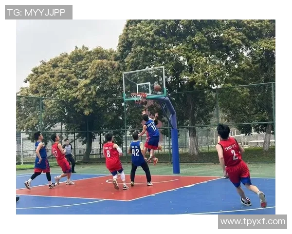 广州篮球队实力分析与发展潜力探讨聚焦篮球运动的未来之路