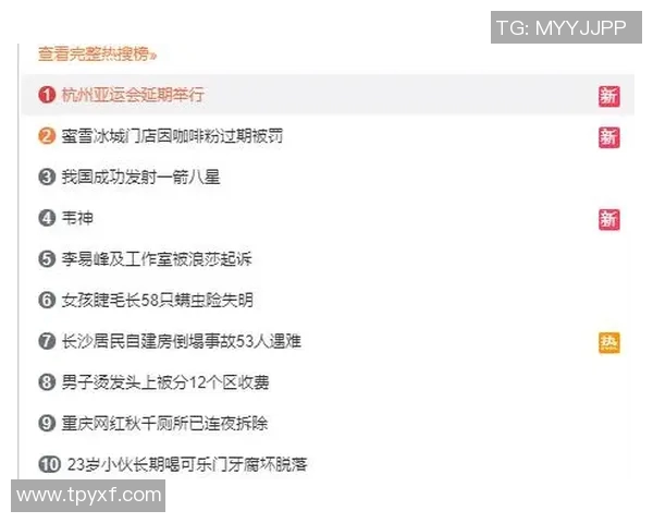 杭州排球队个人能力分析与数据解读探讨