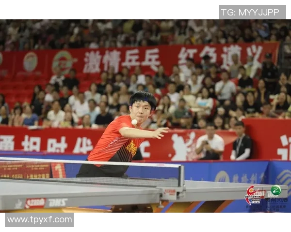 杨伟专访揭秘乒乓球成功秘诀与未来发展方向分析