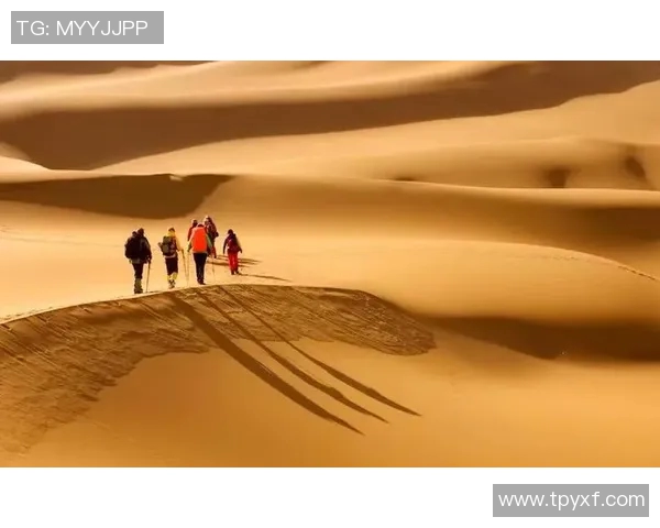 深度对话：杨芳在英雄联盟世界中的成长与挑战之旅