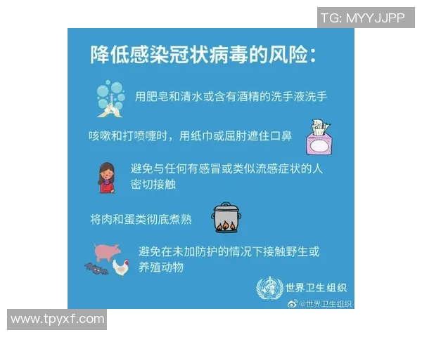 武汉极限运动队的阵地战分析与反思：得失背后的启示与未来发展