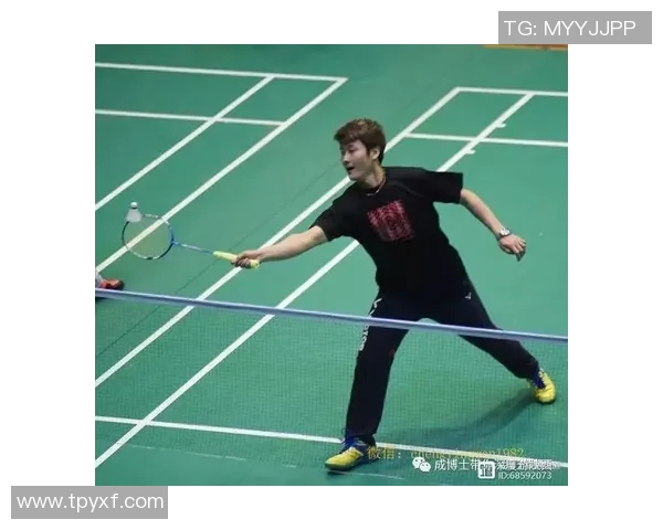 西安羽毛球队配合策略深度解析与对比研究