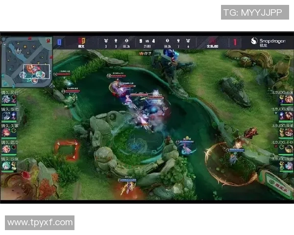 王者荣耀评论分析JDG在阵地战中的优势与劣势探讨