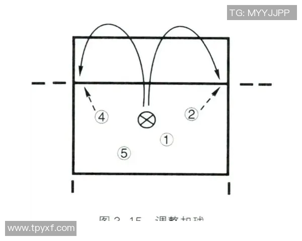 上海排球队进攻战术解析与球队表现的深度剖析