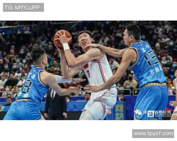 上海排球队反击之路：战术调整与团队协作的深度剖析