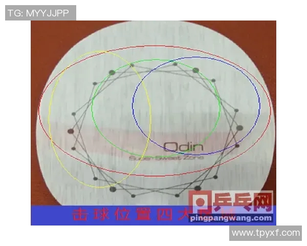 南京乒乓球队在比赛中的战术控制与失误分析探讨