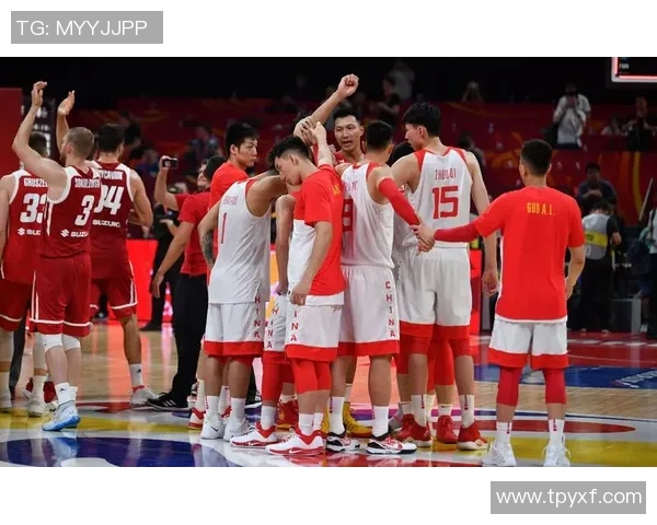 南京排球队与北京排球队的较量分析与战术总结