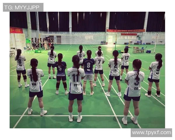 权威发布：2023年度排球运动员个人能力实力排行榜全解析