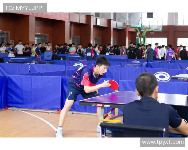 成都乒乓球队近期表现分析与未来发展潜力探讨