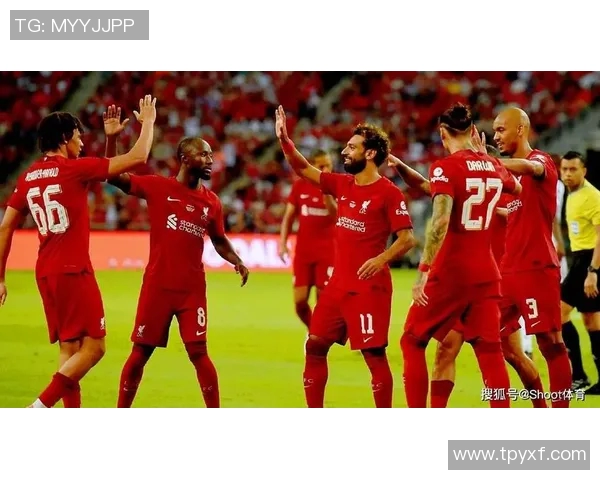 拜仁与利物浦比赛分析大小球对比及战术解析