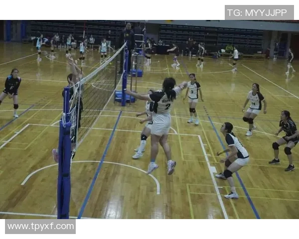 日本女排迎战美国队力争胜利展现团队精神与竞技风采
