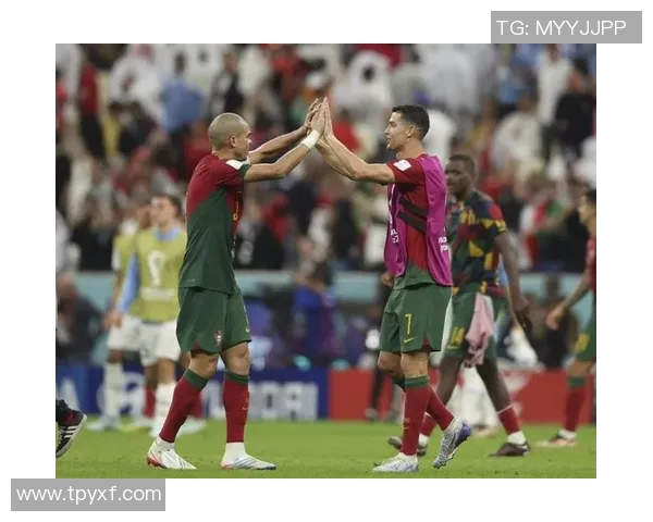 新加坡与马尔代夫的精彩对决：谁将赢得这场热带之战