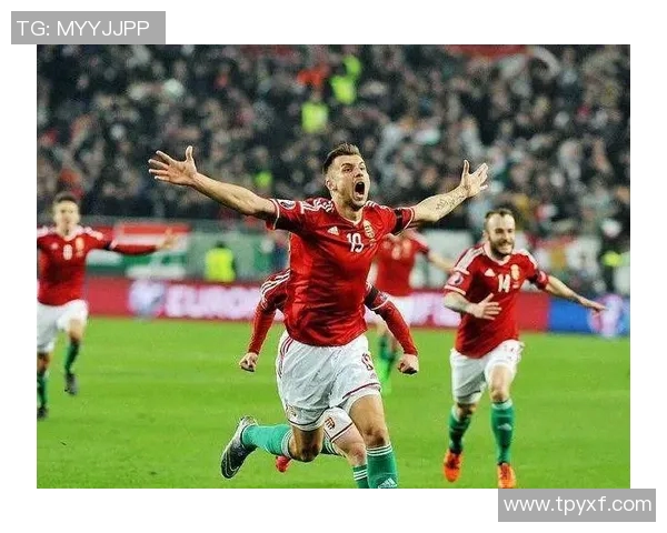 比利时与匈牙利首发阵容分析及比赛前瞻解析