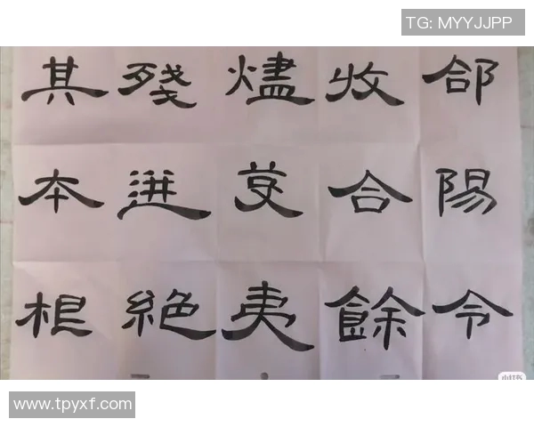 焦泊乔：在风云变幻的时代中追寻梦想与坚持的力量