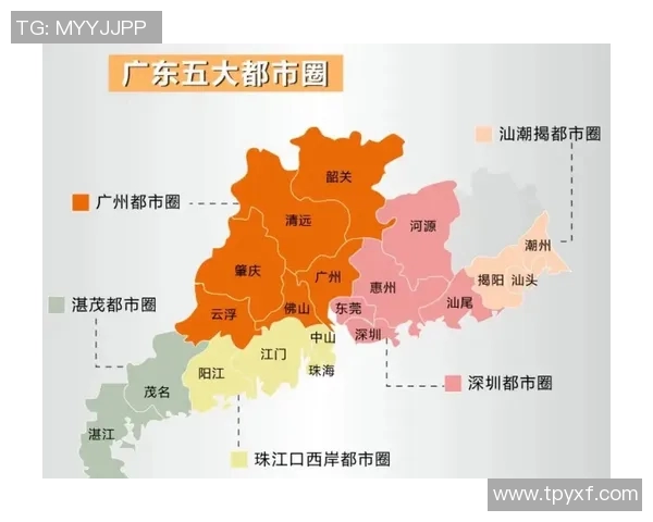 直辖市与广东经济发展对比分析探讨区域竞争与合作潜力