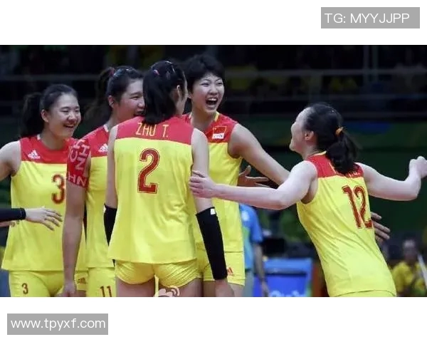 杨强回顾排球生涯的风雨历程与心路历程分享