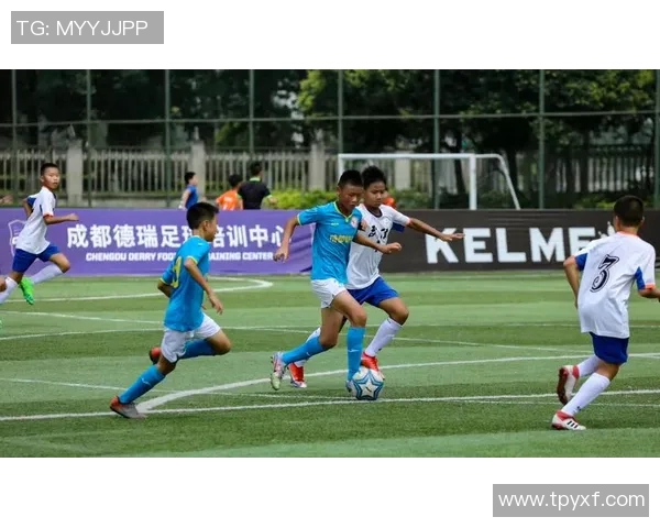 成都极限运动队的比赛经验分享与发展策略探讨